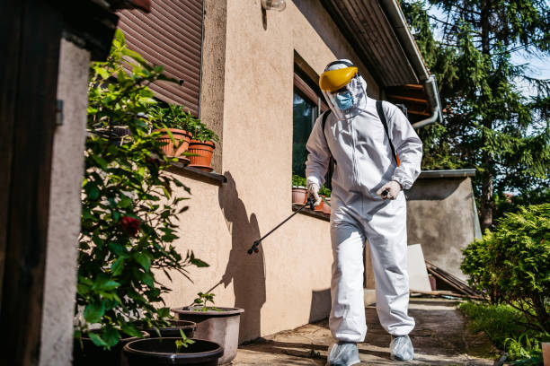 Best Affordable Pest Control Services  in Mountain Lakes, NJ